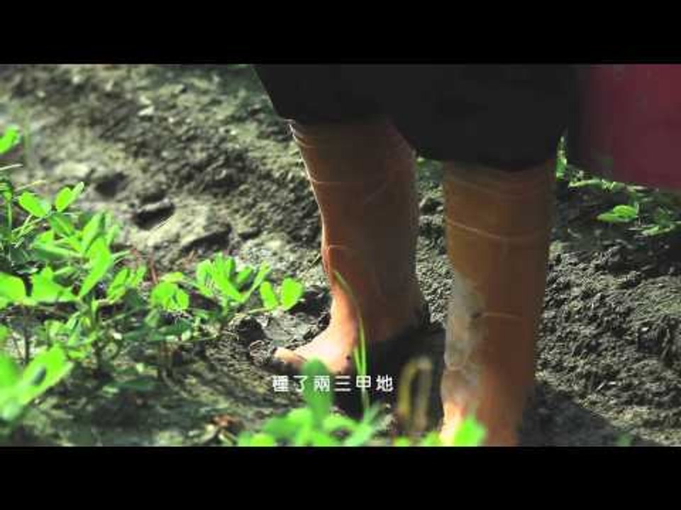 雲林亮起來-雲林亮點系列短片-元長篇  【老農崛起  黑金剛花生讓農村發光發亮】