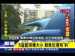 昆蟲動物展開跑 搶搭動物狂熱潮 - 三立新聞台20131005