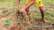 Man make Buckets__ deep Hole crab trap catch a lot of crab near__ pond - How to make Crab Trap Easys