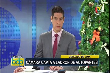 Cercado de Lima: capturan a delincuente que robaba espejos de vehículos