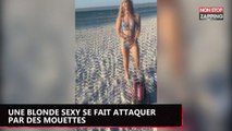 Une blonde sexy se fait attaquer par des mouettes (vidéo)