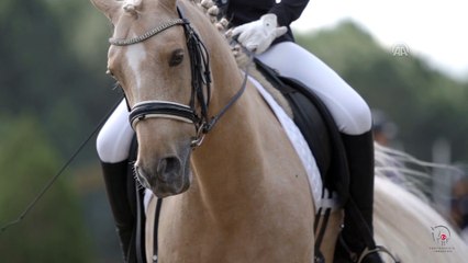 Binicilik için RTÜK onaylı kamu spotu - ANKARA