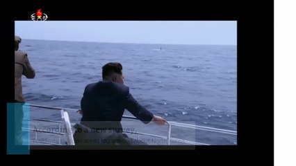 Japan survey: Public isn't too worried about North Korea