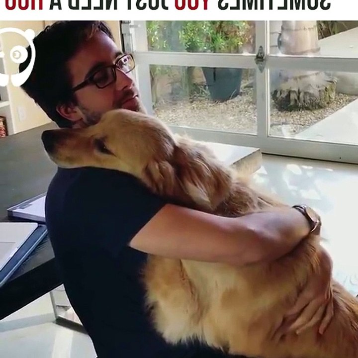 Sometimes you just need a hug