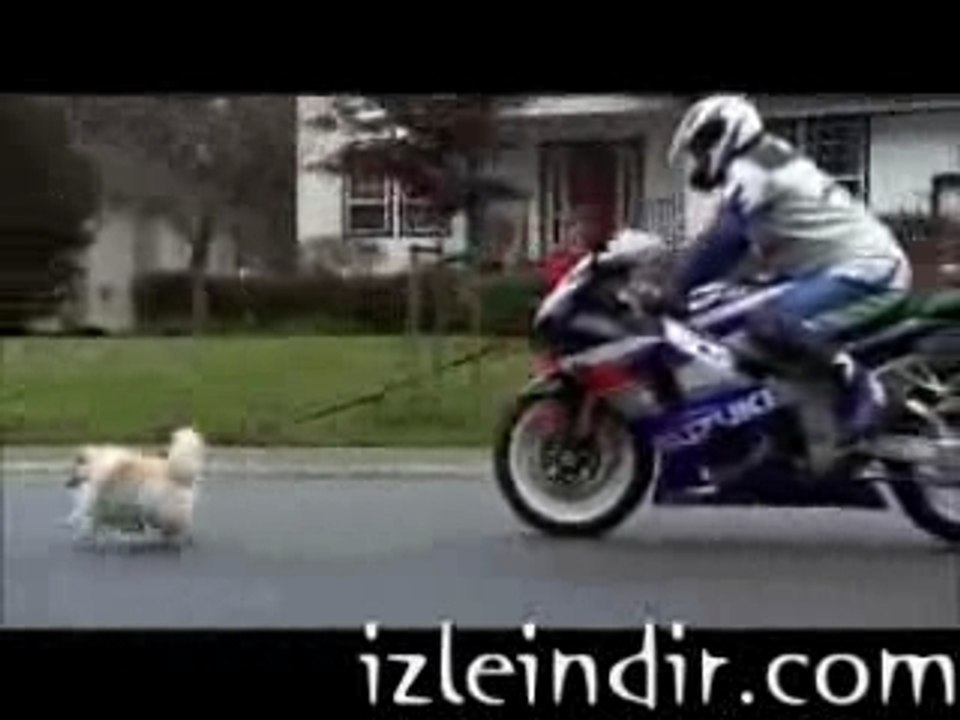 Moto suzuki
