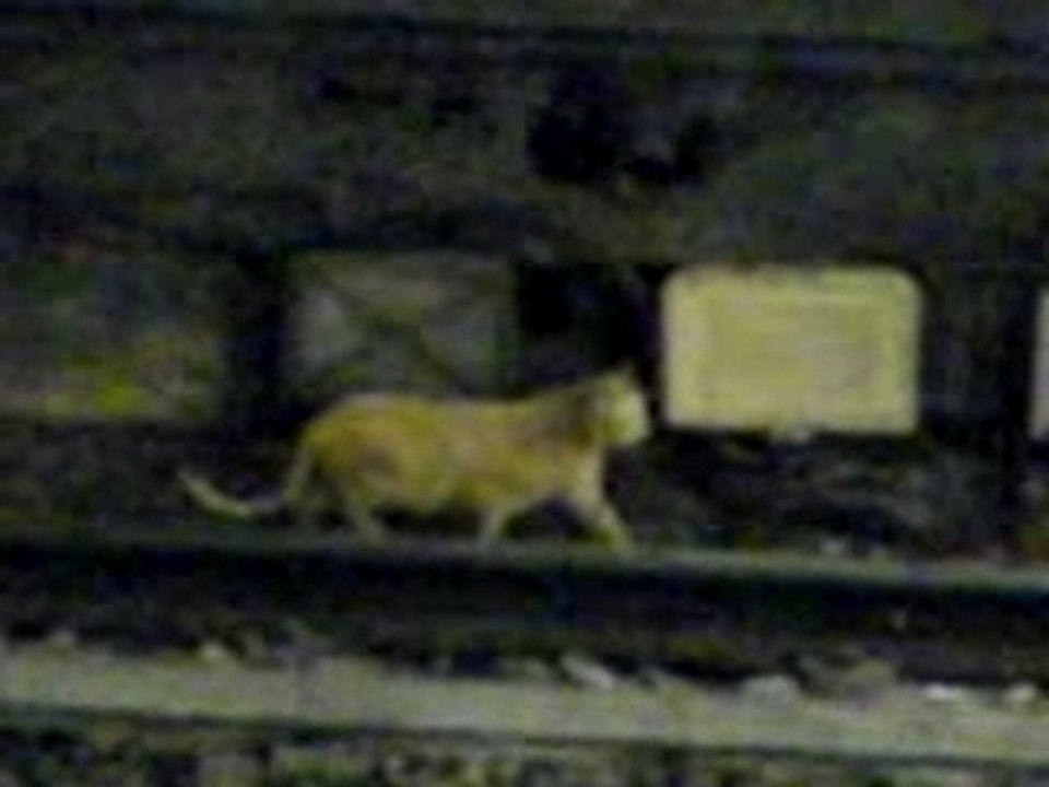 Metro Pasteur