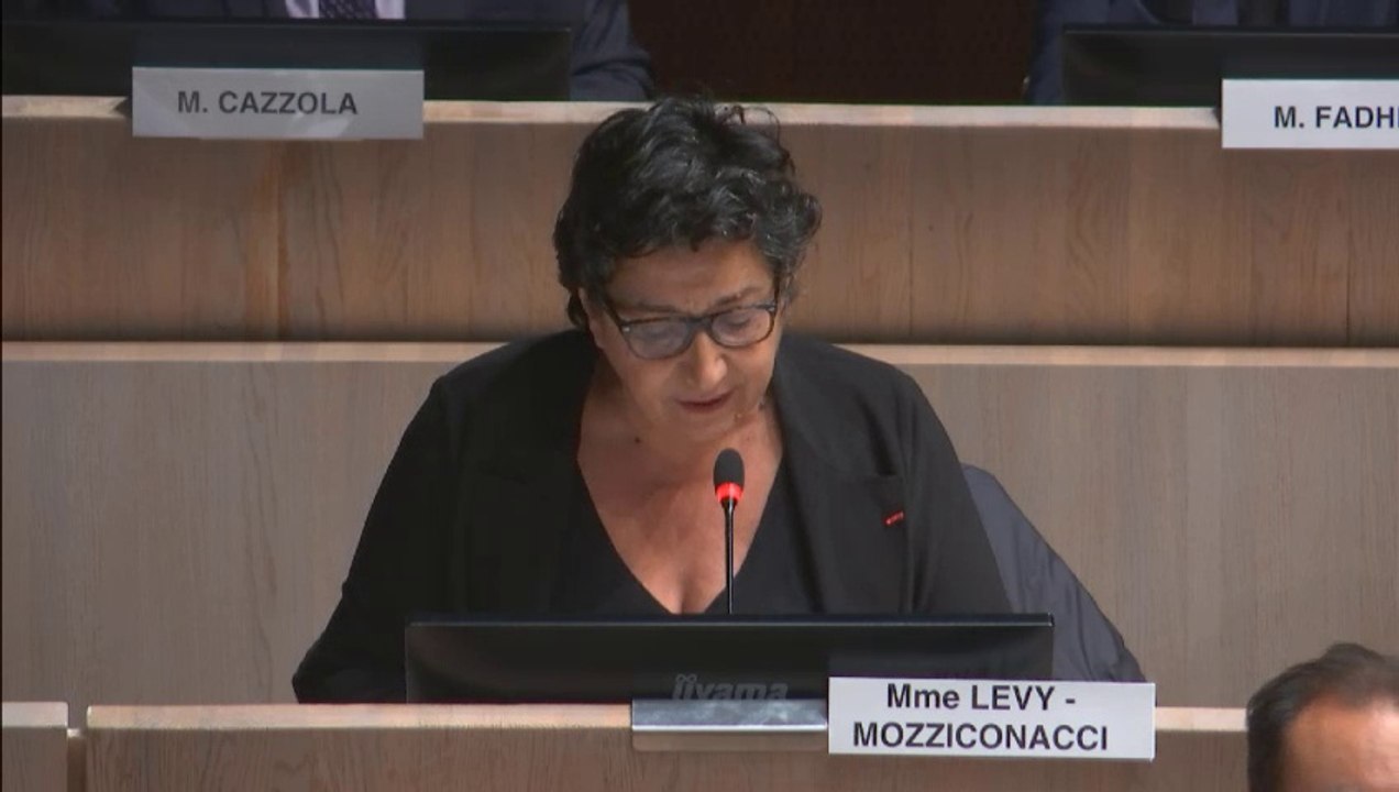 Annie Levy-Mozziconacci intervient sur la pollution de l'école de la Madrague Montredon