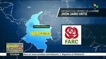 Colombia: Farc denuncia el asesinato de otro miembro de su partido