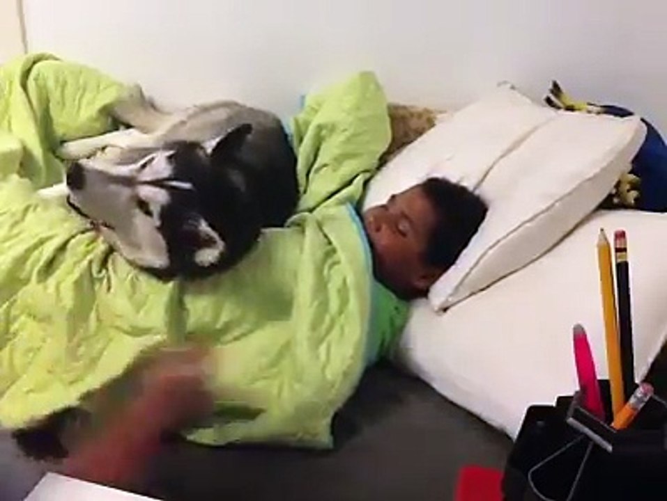 VID-20171207-WA0005