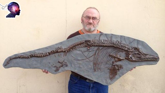 Evrim Teorisi Ve Fosiller