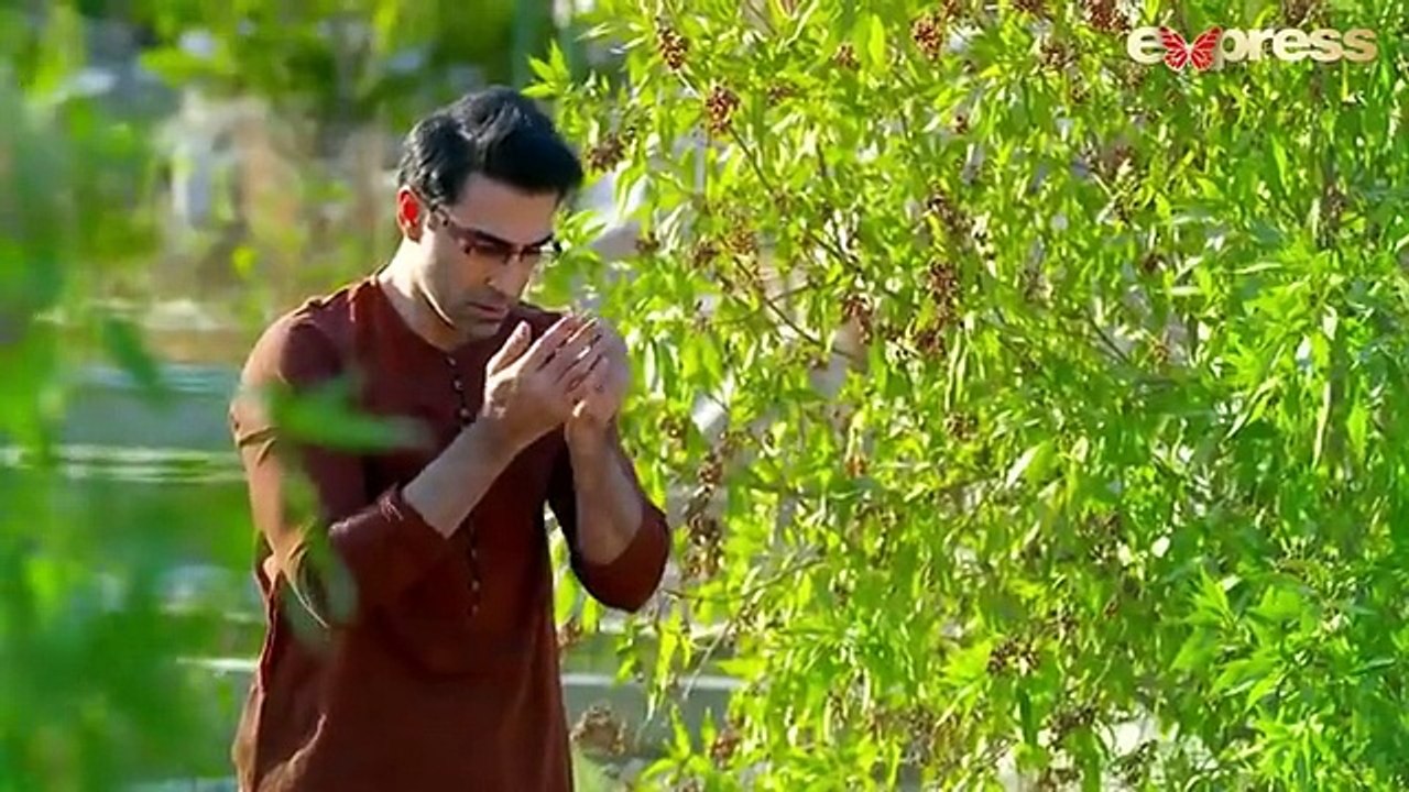 Agar Tum Saath Ho - Last Episode