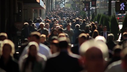 Anime Crimes Division - OFFICIAL TRAILER | Crunchyroll + RocketJump