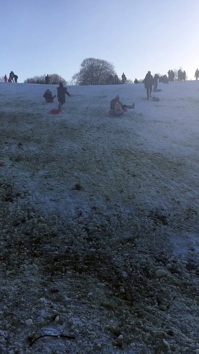Sorry For Sledding