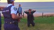 Home and Away 6808 18th December 2017 | Home and Away 6808 18 December 2017 | Home and Away 18th December 2017 | Home and Away 6808 | Home and Away |