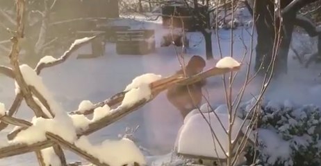 Heavy Snow Blankets Parts of Ontario
