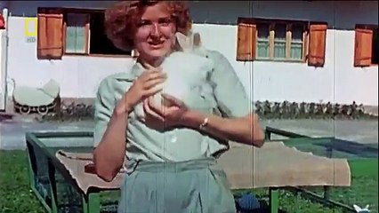 La Verdad Sobre Adolf Hitler Documental