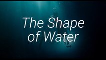 Navet ou chef d'oeuvre? - Cinéma | «The Shape of Water» de Guillermo Del Toro