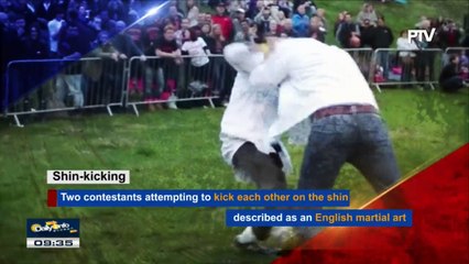#WTFACTS: Shin-kicking