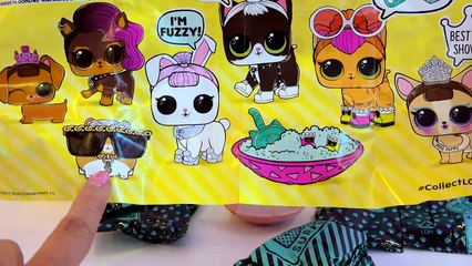 LOL Surprise Pets Blind Bag -  Litter Box Sand  , Cry , Color Change -JpP9zY9-R1M