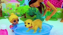 Washing LOL Surprise Pets In Water Pool with Barbie, Dog & Cat Toy Video-cf5uzPK2jD0