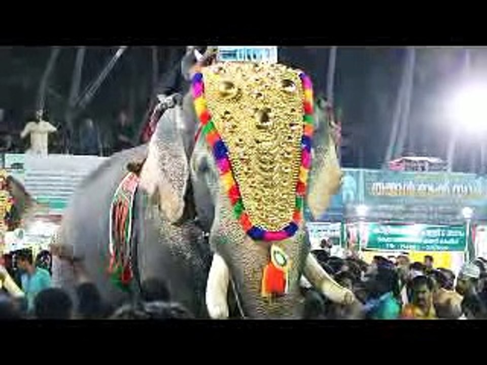 ELEPHENT fight