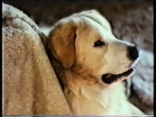 Hundra (1983) - VHSRip - Rychlodabing (2.verze)