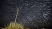 Slow Motion Timelapse Captures One Hour of Geminid Meteors Passing Over New Mexico