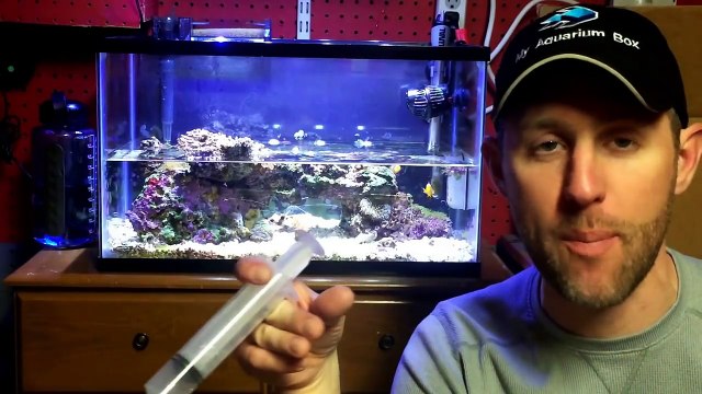 10 gallon Reef Tank - Water Changes and Maintenance Tips. Saltwater Aquarium Tips, No Skimmer-UOpjtvpPLhs
