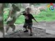Zoo Animal Attacks - Funny Zoo Animal Attacks Compilation 2017