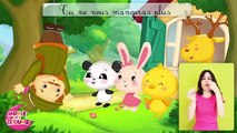 Le grand cerf - Comptines à gestes pour bébés - Cerf, cerf, ouvre moi! Titounis - YouTube