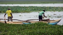 Catching Fish By Using The Net-Net Fishing In lake