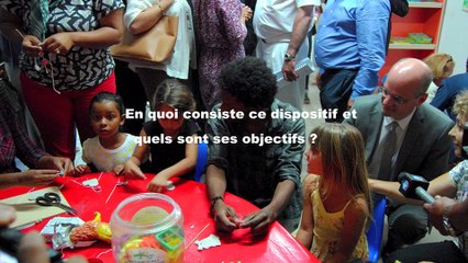 Mise en place des CP à 12 dans l'académie de La Réunion : objectifs et bilan