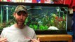 How to set up a Freshwater Aquarium - Beginners guide to your 1st Aquarium-tSg-Zgps_d0