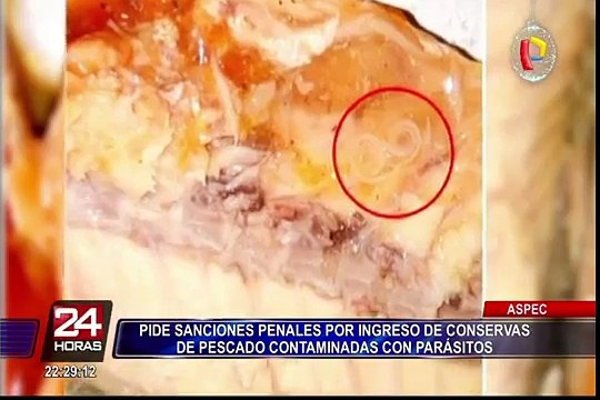 ASPEC: piden sanciones por ingreso de conservas de pescado con parásito