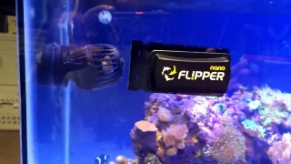 How to Tip - How to Flip your Flipper Scraper-cq3wyZ_wTwU