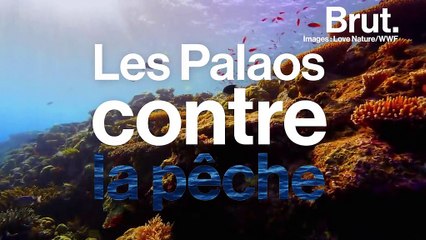 5 mesures fortes pour la nature