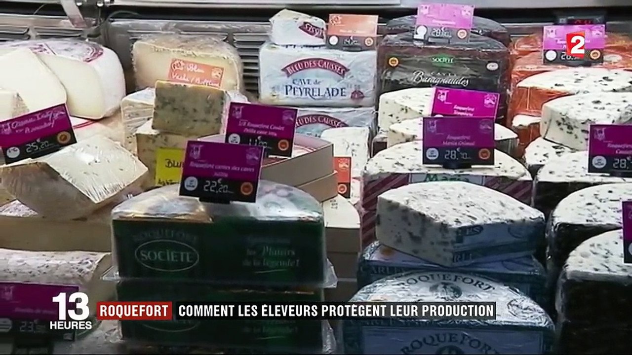 Roquefort : comment les éleveurs protègent leur production