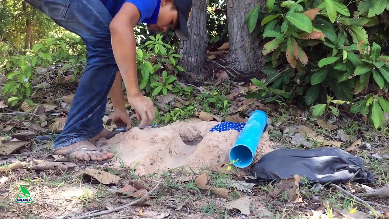 Easy Deep Hole Quail & Bird Trapping Using PVC And Bag - How To Make Quail Traps With Bag Work 100%