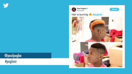 La revue de tweets du 15 décembre