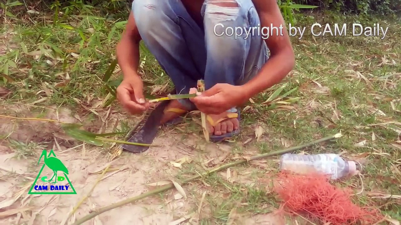 Traditional Bird Trapping in Cambodia - Amazing Quick Best Bird Traps Made Bamboo - Best Bird Traps