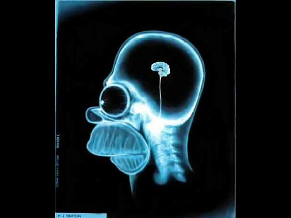 Quote's by Homer Simpson