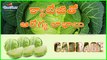 Amazing Health Benefits of Cabbage in telugu - weight loss