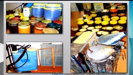 Πως οι αστυνομικοί έφτασαν στον 49χρονο που έκαιγε τις κυψέλες