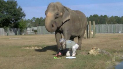 Рождественская вечеринка в зоопарке