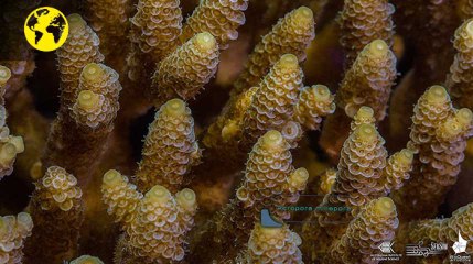 Une cuillère extraterrestre et une chorégraphie de néons : les vidéos de la semaine.