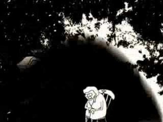 Never Cross A Black Cat