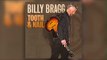 Billy Bragg - Chasing Rainbows