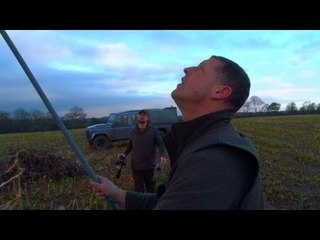 Pigeon decoying with lofting poles