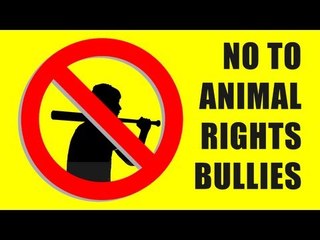 Confronting angry antis