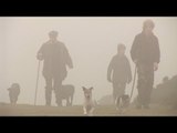 Rabbitting with hounds - it's legal!